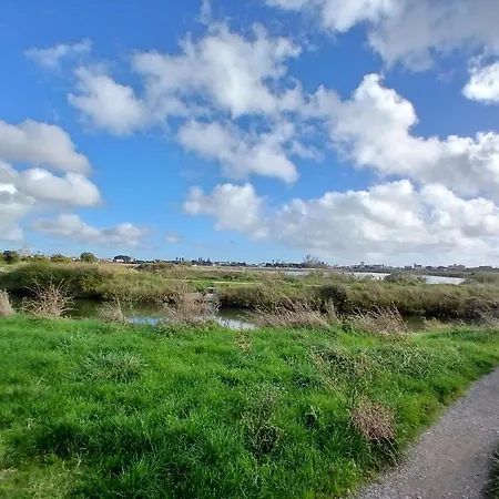 Héron I De Standing 4 Pers - Jacuzzi Privé Vakantiehuis